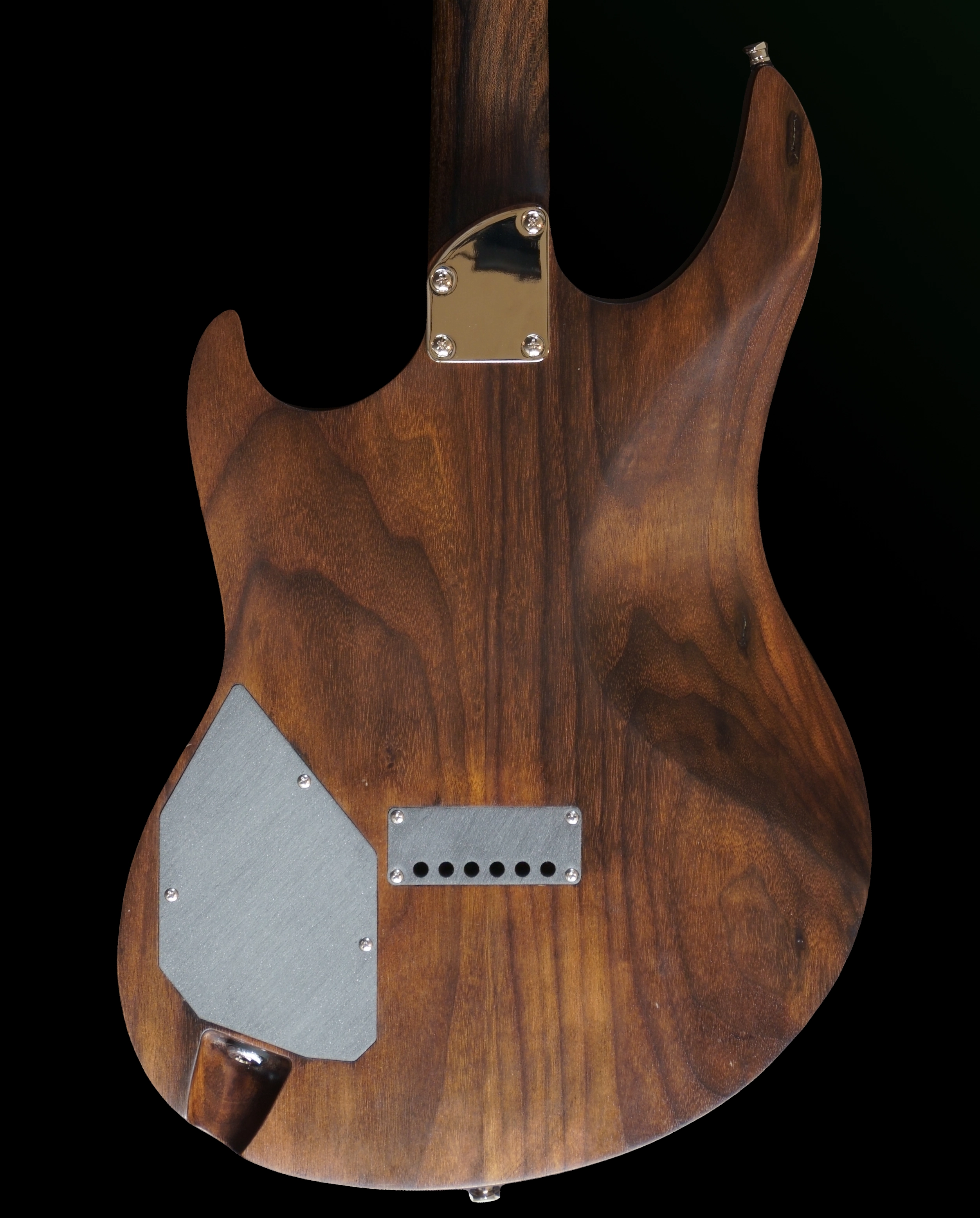 Ryzen modern electric guitar